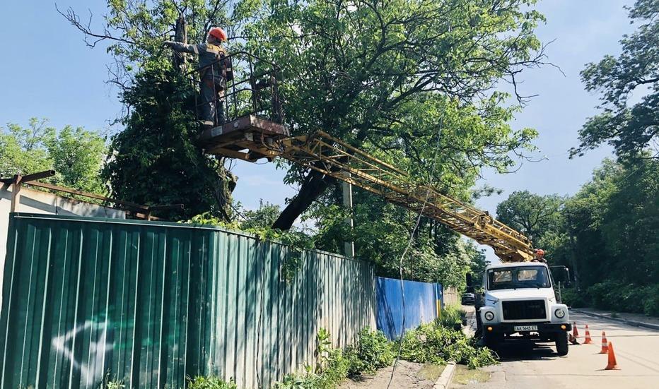 shchob-poperediti-avariji-v-kiyevi-do-kincya-roku-rozchistyat-100-kilometriv-tras-pid-elektroliniyami-1