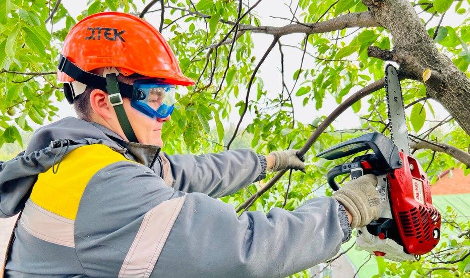 dtek-kijivski-elektromerezhi-ubezpechiv-ponad-100-kilometriv-povitryanih-elektroliniy-1