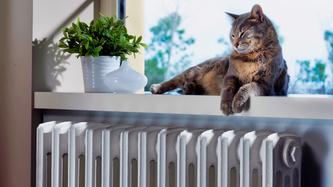 pidgotuysya-do-zimi-aktivuy-tarif-na-elektroopalennya-onlayn-v-dtek-kijivski-elektromerezhi